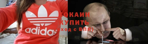 сатива Краснотурьинск