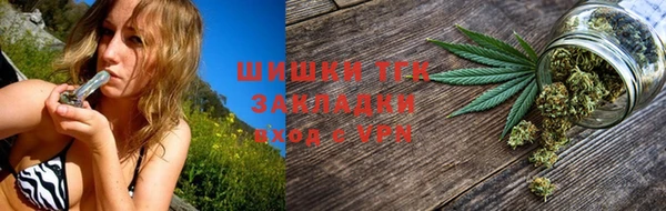 прущие грибы Красноперекопск