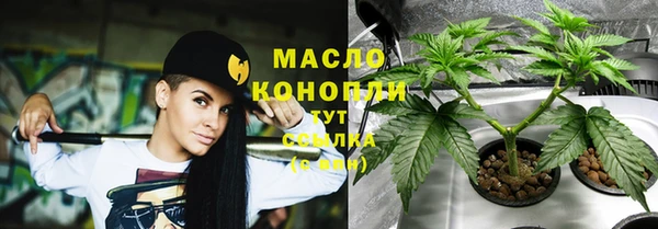 прущие грибы Красноперекопск