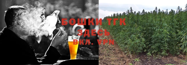 сатива Краснотурьинск