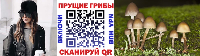 Галлюциногенные грибы Magic Shrooms  дарк нет телеграм  Лангепас 